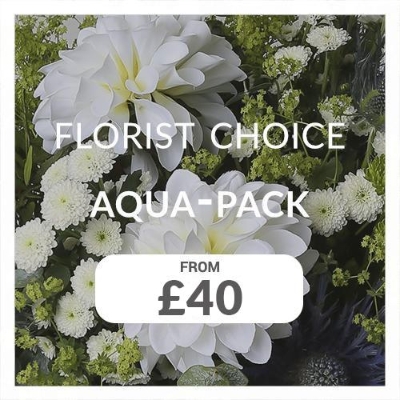 Florists Choice Aqua pack