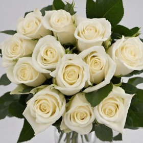 A Dozen White Roses